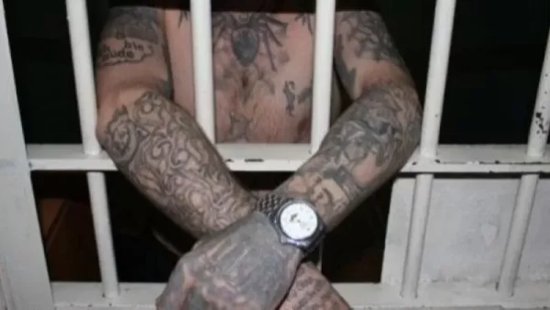 Criminal Underworld Crime Uncovered: Lawmaker Arrested