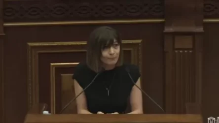 ՏԵՍԱՆՅՈՒԹ․ «էդ ժողովրդով հավաքվեիք, գնայիք Ջերմուկ»․ Արփի Դավոյան