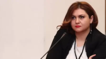 Ո՞ւր էր Սփյուռքի գործերով հանձնակատարն ադրբեջանցիների հետ կռիվների օրերին. Անժելա Էլիբեգովա