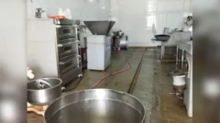 «Բանդիվան կաթ»-ը ստուգումից և խախտումների արձանագրումից հետո շարունակում է աշխատե՞լ. ArmDaily.am