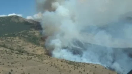 «Խոսրովի անտառ» պետական արգելոցում հրդեհաշիջման աշխատանքներին մասնակցել են 52 փրկարար ծառայող․ այրվել են է 3 հա տարածք