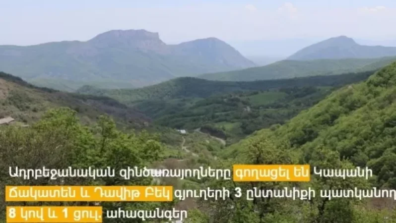 Ադրբեջանցի զինծառայողները կրկին գողություն են կատարել Սյունիքի մարզից