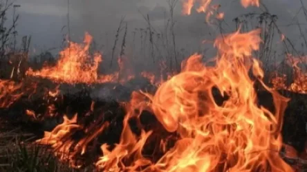 Հրդեհ` «Ջրվեժ» անտառպարկում