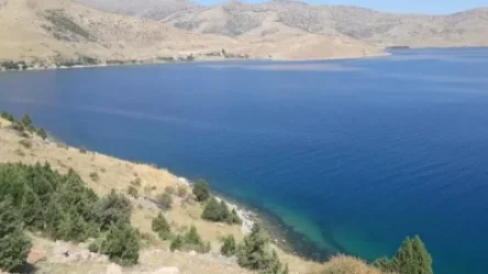 Հայտնի է, թե երբ կսկսվի Սևանա լճի ափամերձ շրջանների մաքրումը
