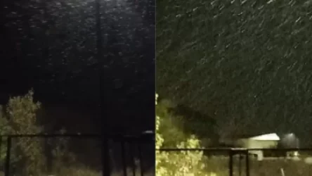 Սևանում ձյուն է տեղում