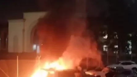 ՏԵՍԱՆՅՈՒԹ. Կադրեր Ալմաթիի օդանավակայանի տարածքից