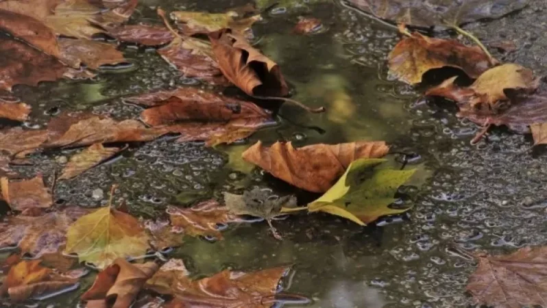 Եղանակը կցրտի. ինչ է սպասվում առաջիկա օրերին