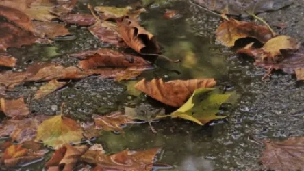 Եղանակը կցրտի. ինչ է սպասվում առաջիկա օրերին