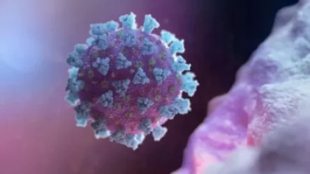 Կորոնավիրուսային իրավիճակը՝ Հայաստանում․ թարմացված