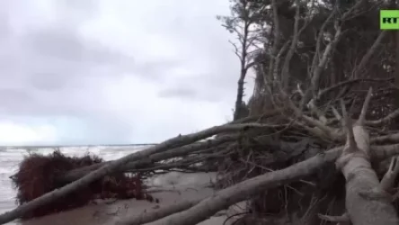 ՏԵՍԱՆՅՈՒԹ. Կալինինգրադին պատուհասած փոթորկի հետևանքները