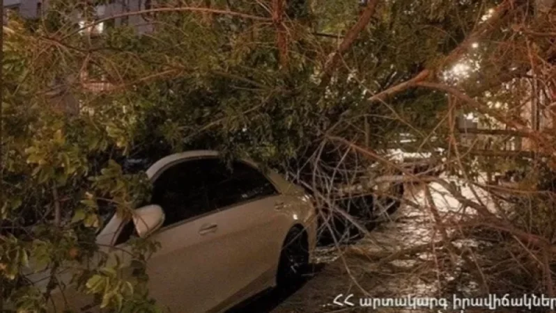 Փարպեցու փողոցում ծառը կոտրվել և ընկել է կայանած երկու ավտոմեքենայի վրա