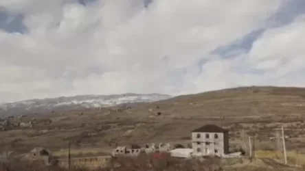 ՏԵՍԱՅՈՒԹ․ Արաբները գնում են հայերի հողերը․ ինչ են պատմում գյուղացիները