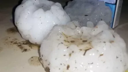 Այ քեզ կարկուտ. Գագիկ Սուրենյանը լուսանկար է հրապարակել