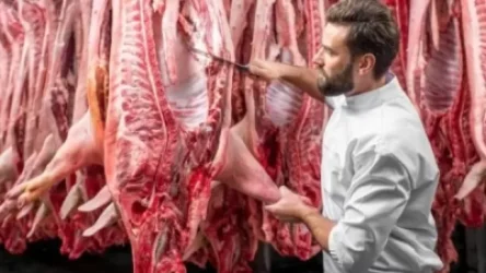 Մսագործների համար Բրիտանիան կառաջարկի արտակարգ վիզաներ