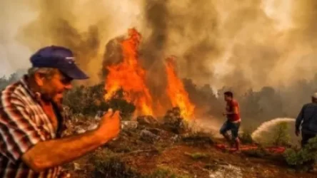 Հրդեհների պատճառով Թուրքիայի որոշ շրջաններում քրդերի իսկական որս է սկսվել