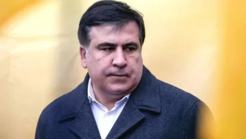 Միխայիլ Սաակաշվիլիին ներում կշնորհվի թե՞ ոչ. Վրաստանի նախագահը մեկնաբանում է