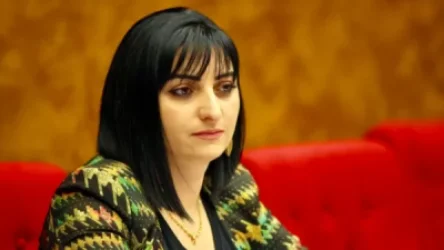 Սահմանամերձ բնակավայրերը վտանգված են. Թագուհի Թովմասյան