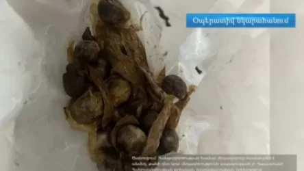ՏԵՍԱՆՅՈՒԹ. Հռոմից Երևան ժամանած քաղաքացու ստամոքսից ու հաստ աղիքից թմրանյութի պարկեր են հայտնաբերվել