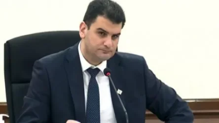 «Իրոքից մեր քաղաքի կանաչը բավականին քիչ է»․ քաղաքապետ