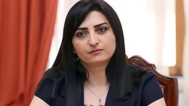 Այս անգամ էլ խիստ մտահոգիչ գործընթաց է սկսվել ՀՀ դատական համակարգում. Թովմասյան