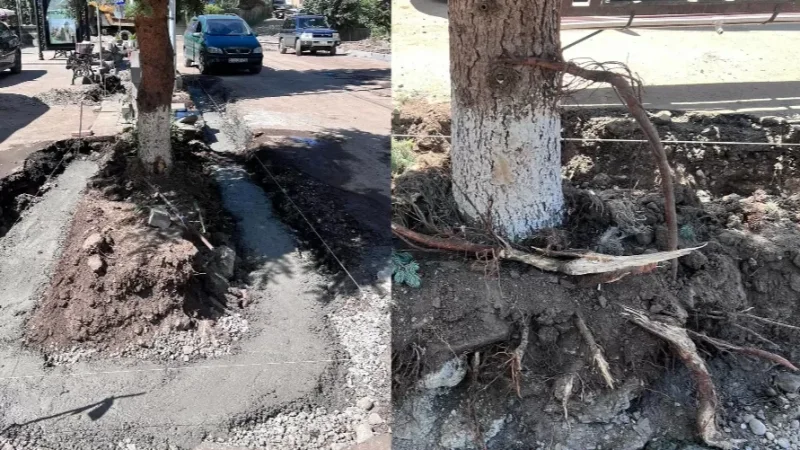 Barbarism in Tsaghkadzor: User Reports Grievances