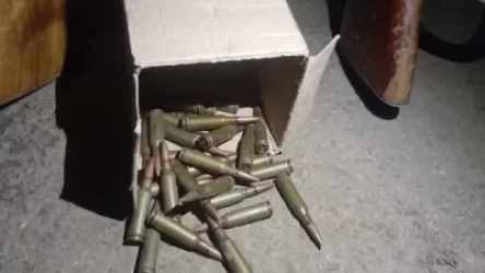 Տավուշի ոստիկաններն ապօրինի հրացաններ ու ինքնաձիգի փամփուշտներ են հայտնաբերել