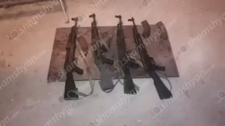 ԼՈՒՍԱՆԿԱՐՆԵՐ. Ֆիզկուլտ ինստիտուտում հայտնաբերվել են ինքնաձիգեր