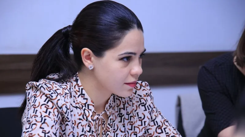 Մի քանի դիտարկում Պուտինի հայտարարության մասին. Տաթևիկ Հայրապետյան