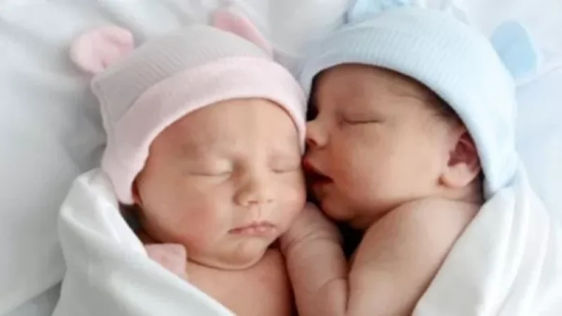 Էրեբունի ԲԿ-ում հուլիսին ծնվել է 14 երկվորյակ