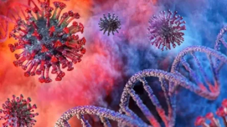 Վրաստանում կա Covid-19-ի 14 նոր դեպք