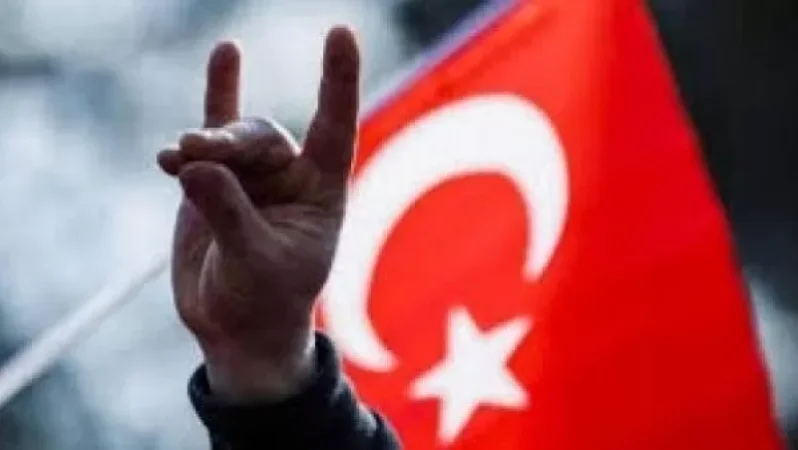 Ֆրանսիան ամբողջությամբ հայկական շրջանակների պատանդն է դարձել. Թուրքիայի ԱԳՆ