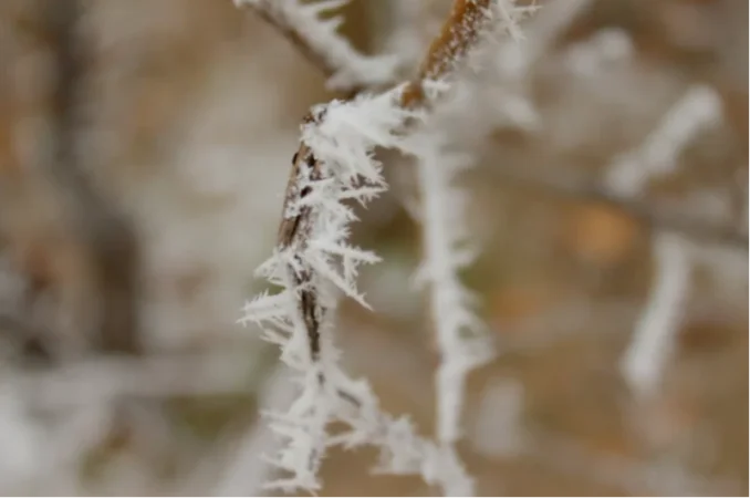 «Հունվարի 27-ին նոր ցիկլոն կգա Հայաստան». Սուրենյան