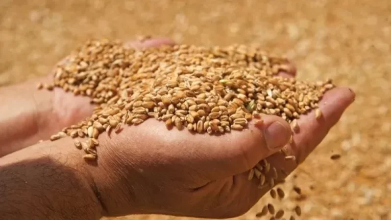 Ռուսաստանը անհրաժեշտության դեպքում Աֆղանստանին հացահատիկ կհատկացնի