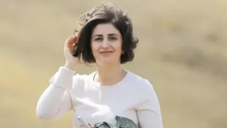 Ադրբեջանական կողմը հրաձգային զինատեսակներից արձակել է շուրջ 155 կրակոց