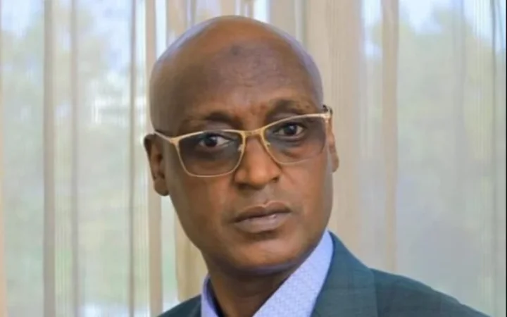 Չադի ընդդիմության առաջնորդ Յայա Դիլլոն կարող է մահացած լինել