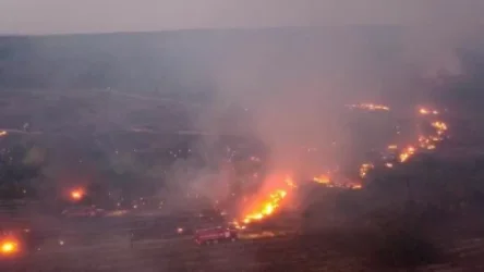 ՏԵՍԱՆՅՈՒԹ. Անտառային հրդեհներ ՌԴ Ռոստովի մարզում. զոհեր կան