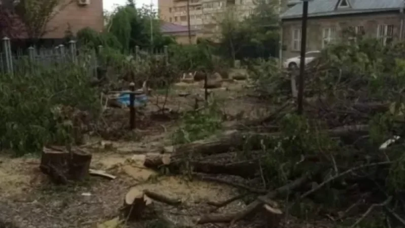 Պարզաբանում՝ Բաղրամյան 79ա հասցեում գտնվող կանաչ պուրակում իրականացվող ծառահատումների վերաբերյալ