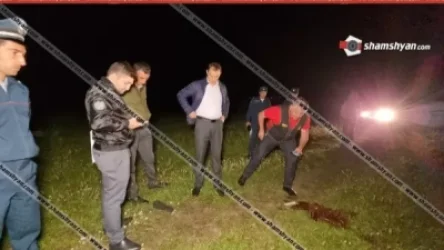 Դեպքը տեղի է ունեցել աղբանոցի մոտակայքում․ նոր մանրամասներ