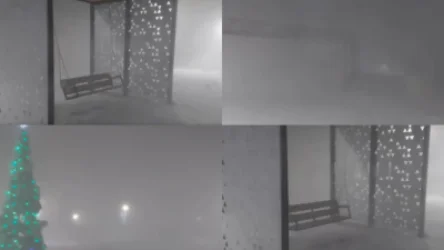 Հայտնի է՝ որտեղ է գրանցվել ամենաուժեղ սառնամանիքը