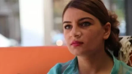 «Ամուլսարի 2-րդ հենակետը «Լիդիան»-ը  ինքնագլուխ հանել, իր դոմիկն է տեղադրել». Թեհմինե Ենոքյան