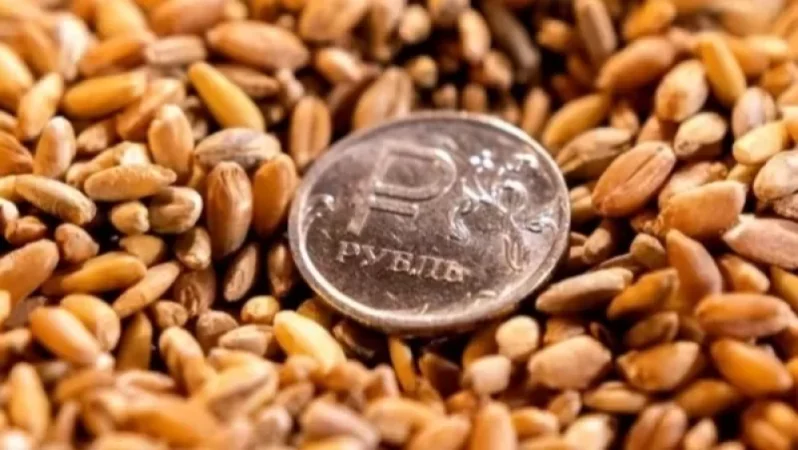 Թուրքիան գնել է Ռուսաստանի կողմից գողացված ուկրաինական հացահատիկը. դեսպան