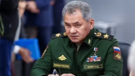 Շոյգուն հրապարակել է հանձնված ուկրաինացիների ընդհանուր թիվը