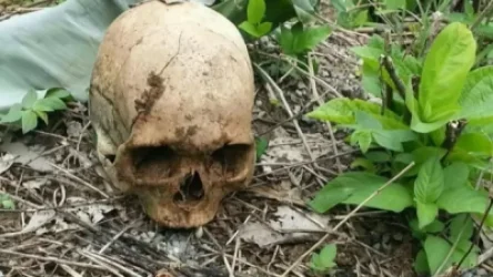 Արտակարգ դեպք՝ Երևանում. մարզահամերգային համալիրի հարակից տարածքում հայտնաբերվել է մարդու գանգ