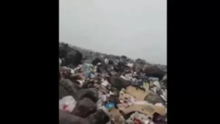 ՏԵՍԱՆՅՈՒԹ. Թուրքիայի լեռնագնացներն Արարատ լեռը աղբավայրի են վերածել