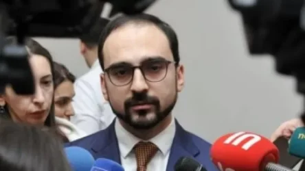 Իրականում խնդիր կա ՍԴ-ում և այն պետք է լուծում ստանա. Ավինյան