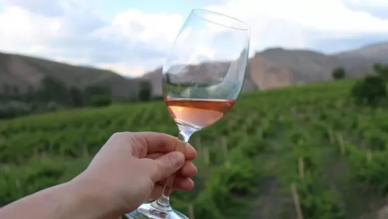 Մոռացեք Ֆրանսիան, Հայաստանը գինեգործության կենտրոնն է. «Եվրանյուզ»-ի անդրադարձը՝ հայկական գինեգործությանը