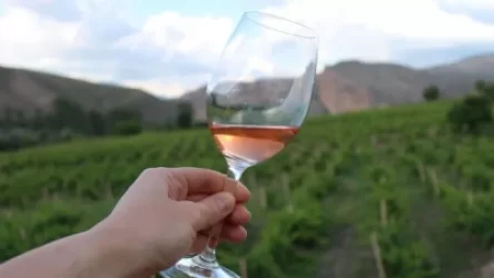 Մոռացեք Ֆրանսիան, Հայաստանը գինեգործության կենտրոնն է. «Եվրանյուզ»-ի անդրադարձը՝ հայկական գինեգործությանը