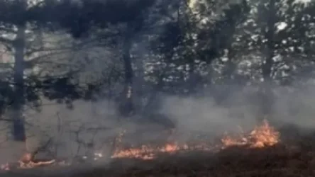 Հայ-ադրբեջանական սահմանի չեզոք գոտում հրդեհ է բռնկվել