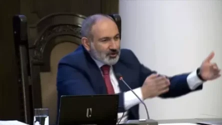 ՏԵՍԱՆՅՈՒԹ. «Միլիոններ են աշխատում է».  Փաշինյանը պատմեց` ինչի է հանդիպել ճանապարհին և նկատողություն արեց