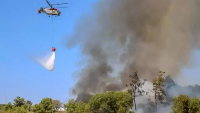 Թուրքիայի 5 նահանգներում անտառային հրդեհներ են